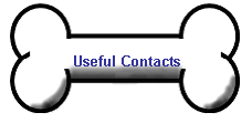 Useful Contacts